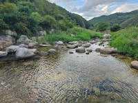 투게더월산로타리점 | 투게더