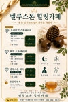 벨루스톤힐링산소미인 - 진주시 대신로 447 | 벨루스톤 힐링Cafe