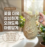 벨루스톤힐링산소미인 - 진주시 대신로 447 | 벨루스톤 힐링Cafe
