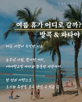 삼보항공여행사주 | 하나항공여행사