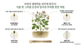 더이엔클리닉 | 더이앤 뷰티클리닉센터