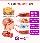 큐사랑 청주문의점 | 큐사랑 청주우암점