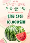 상은이네과일야채가게 | 야채과일싼집