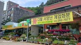 가람꽃마을꽃집 | 가람꽃농원