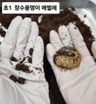 신우하연과학교습소