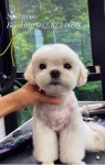 스파그루SpaGroo | 스파그루