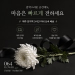 영창꽃공작소 | 공육사플라워