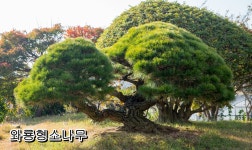 주식회사 일송푸드 | 일송농원