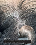 극동뷰티아카데미미용학원채원뷰티두피탈모센터 | 두피더하기