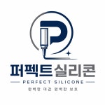 퍼펙트실리콘