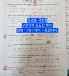 앨쌤1:1영어교습소
