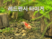 아쿠아워시청주주중점 | 아쿠아존