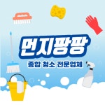 먼지팡팡