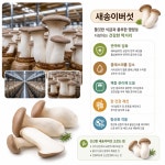 로스트앤베이크키친랩 | 한스키친랩