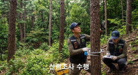 서우산림기술사사무소