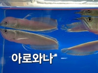 아쿠아워시청주주중점 | 아쿠아존