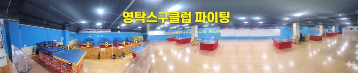 영탁스탁구클럽