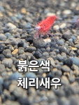 아쿠아워시청주주중점 | 아쿠아존
