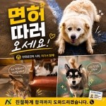 옥동현대자동차운전학원주 | 뉴현대자동차운전전문학원