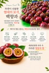 경상북도경주교육지청(복실이농산) | 복실농원
