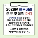 선현이네농원
