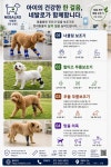 네발로양평 | 네발로