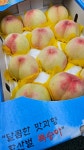 싸고맛있는시온청과 | 시온청과