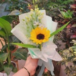 꽃소식 플라워