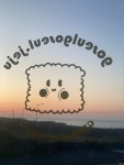 고슬고슬 제주 월정리점