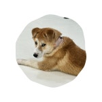 주식회사더그라운드 | 더그라운드