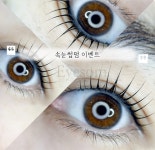 나나살롱
