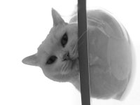 멋내리머리방 | 미친머리방