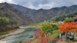 물안골스머프펜션C | 물안개펜션