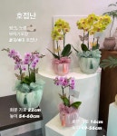 제이써니플라워