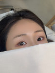 영남이불카바 | 영남