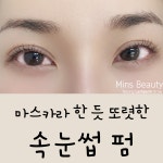 럭셔리뷰티광명하안점 | 민스뷰티 눈썹&속눈썹펌&왁싱 광명일직점