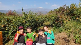 에코감귤교육농장