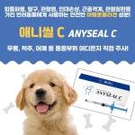 하이펫동물종합병원 | 펫사랑동물병원