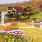 카페드첼시