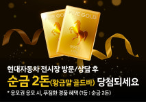 현대자동차 제일로대리점