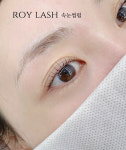 로이래쉬 속눈썹