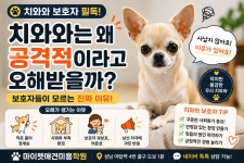 마이펫애견미용분당점학원