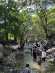 유자촌간이식당매점 | 🍧매점 | ‘창원식당’에서 간단한 과자 및 라면, 아이스크림 등을... 🪑준비물 | 간이 의자, 돗자리, 간식(음료), 수건, 여벌옷, 쪼리, 쓰레기봉투...