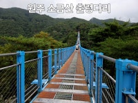원주소금산그랜드밸리 출렁다리 호서대학원동문들과 트레킹 #원주#소금산 #출렁다리
