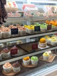 슬라이폭스 신세계백화점 강남점 #오늘여기클립