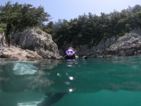 세계스킨스쿠버연맹남해지부 | 국내다이빙 시야는 마음속에...⭐️ 하지만 내사랑 연어도 먹고 연태구냥도 먹고 돌멍게도 먹고 행복했다 #남해다이빙 #스쿠버투어 #오늘여기클립