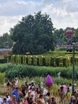 #2025투모로우랜드 #tomorrowland #musicfastival #edm #이디엠 #뮤직페스티벌