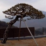 특수목 완성품들