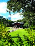 “녹음 짙은 숲길 속 시간 여행, 9월의 선릉과 정릉에서... 느껴지는 계절이에요. 도심 한가운데 있지만, 울창한 나무 그늘...