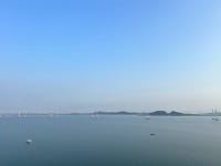 엘에이(LA)코코보일링&오늘,여기 | #오늘여기클립 #오이도 #보일링크랩 #LA코코보일링